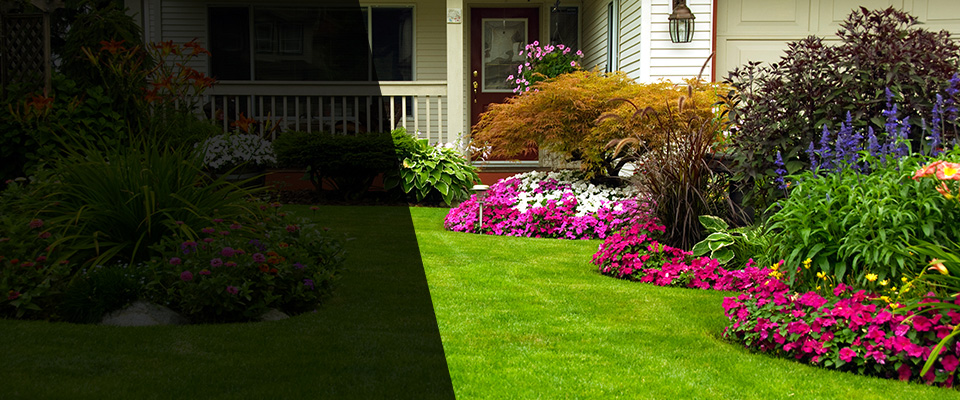 Worcester Landscapers